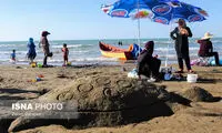جشنواره مجسمه های شنی در ساری