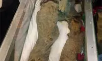 نخستین عکس یکی از 175 شهید غواص