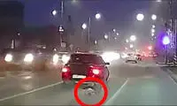 جزئیات رفتار غیرانسانی راننده با یک سگ