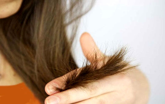 چاره موی آسیب دیده ترمیم است یا قیچی؟