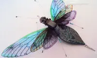 حشرات زیبای الکترونیکی +عکس