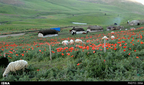 برف در «بهشت» سوباتان