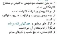 توهین نماینده موافق صیانت خطاب به منتقدان