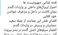 روایت رائفی‌پور از فتنه غذایی در ایران و خاورمیانه