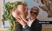 چغندر ۱۵ کیلویی در نی ریز فارس