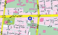فعالیت دوباره زورگیران در بهشت سارقان