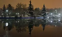عکس: جلوه های یک شب برفی در تهران