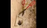 ساخت تله جالب با قیچی برای یک مار 
