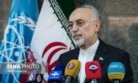 صالحی: فردا غنی‌سازی در فردو آغاز می‌شود