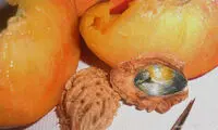 نقاشی های مینیاتوری فوق العاده زیبا