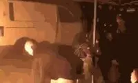 شوخی‌های جالب؛ از آلبوم بهاره رهنما تا سریال‌های تخیلی ایرانی!