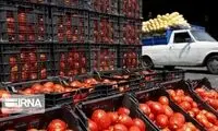 گوجه ارزان شد، قیمت مرغ هم کاهش می‌یابد