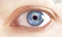 حقایق جالبی که چشم‌ها می‌گویند