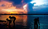 عکس روز نشنال جئوگرافیک؛ به رنگ زندگی