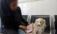 عشقِ به حیوان خانگی یا چشم و هم چشمی؟!
