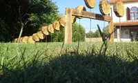 دو رفتار متفاوت با یک اثر هنری +عکس