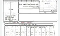 قبض برق ماینرِ چینی مستقر در رفسنجان