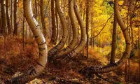 عکس روز نشنال جئوگرافیک؛ انحنای طبیعت
