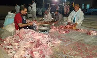 در عید قربان، مراقب قربانی‌ها باشید!