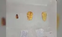 کشف مومیایی‌های مصری با زبانی از جنس طلا