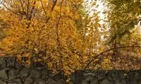 طبیعت زیبای جاده چالوس در پاییز
