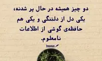 حرفِ دل، حرفِ حساب (۱۸۷)