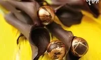 طرز تهیه «شکلات مارسیپانیِ» خیلی باکلاس!