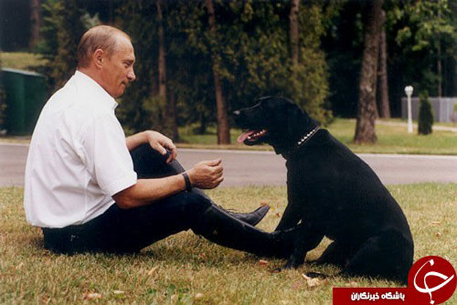 بهترین محافظ پوتین، سگی استثنایی با ویژگی‌هایی خاص