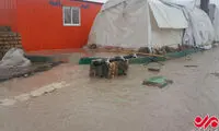 باران، شرایط زلزله زدگان را بحرانی کرد