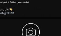 جشنواره فجر هم از گزند اینستا در امان نماند