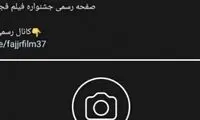 جشنواره فجر هم از گزند اینستا در امان نماند