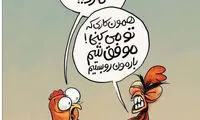 کاریکاتور؛ خروسی که به زحمت افتاد