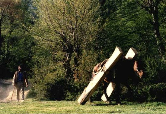 زندگی در قاب چاربداران جنگل‌های شمال