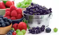 7 ماده غذایی برای تقویت قدرت مغز