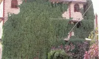 عجیب ترین نمای ساختمان در ایران +عکس