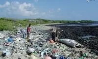 ساحل پلاستیکی در هاوایی