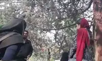 ماجرای «گشت ارشاد»؛ واکنش محسوس به نقض حقوق شهروندی