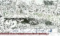 سقوط ماشین های مدل بالا داخل یک حفره