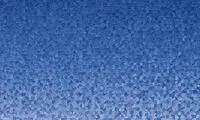 یادداشت کارگردان ایرانی درباره جشنواره کره ای