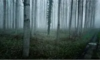 تصاویر استثنائی با دوربین نمای خیابانی گوگل!
