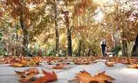 پاییز افسرده می‌کند؟ یا دارید ادا درمیارین؟