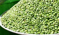 «چاقاله بادام» مقوی معده و لثه است