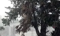آغاز بارش باران شدید از ساعت ۱۶ در تهران