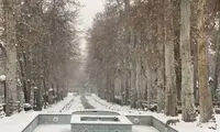قاب تماشایی از داخل سفارت ایتالیا در تهران
