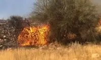 توصیه قابل تامل یک مدیر ایرانی برای مهار آتش‌سوزی جنگل‌