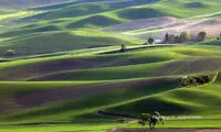 برندگان مسایقه عکاسی اسمیتسونیان