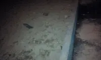 کشف گلوله خمپاره در قلب تهران +عکس