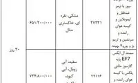 اعلام جزییات دور جدید فروش فوری خودرو از شنبه