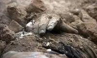گزارشی متفاوت از ویرانگرترین زلزله ایران