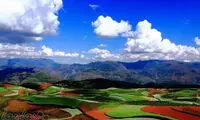 مزرعه دونگ چوآن، پالت رنگ خداوند +عکس